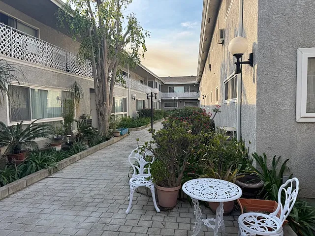 Sylmar Palms — Photo 2