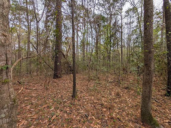 5th image of 10218 Old Georgetown Rd