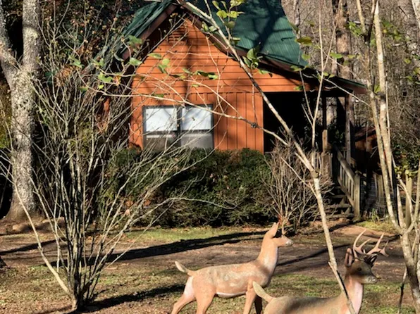 21 Shooting Cr Bend Ln, Hayesville, NC 28904