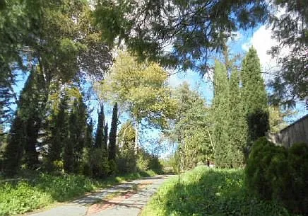 18245 Saratoga Los Gatos Rd photo 1
