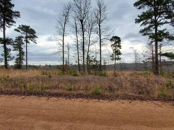 1238 Qmc Rd, Mountain View, AR 72560