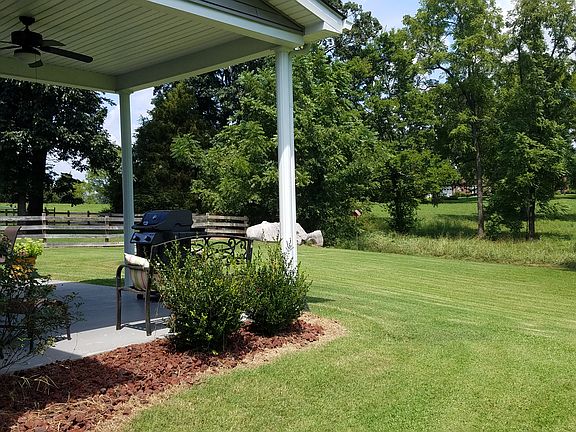 back yard view