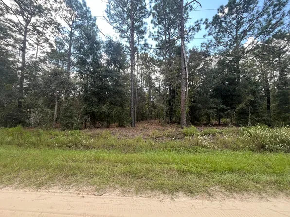 (undisclosed Address), Dunnellon, FL 34432