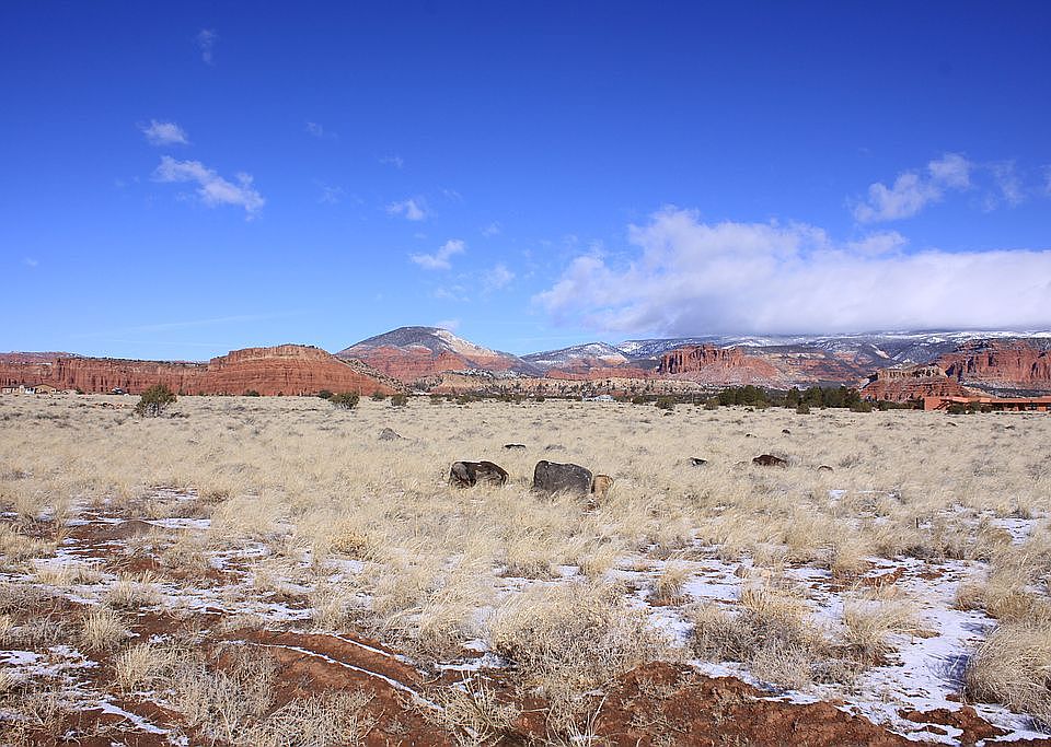 250 W 400 N LOT 19, Torrey, UT 84775 | Zillow