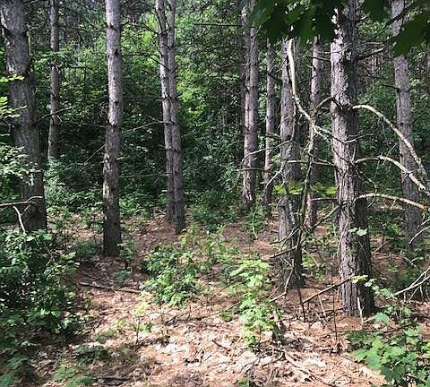 2nd image of 12099 Cabin Ln