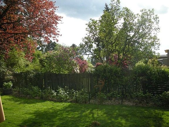 5th image of 10615 NE 46th St