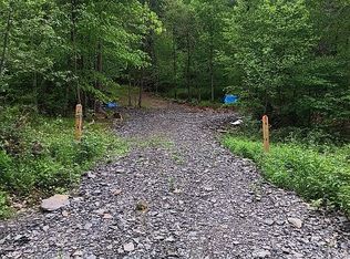 316 Bardin Rd, Mount Vision, NY 13810