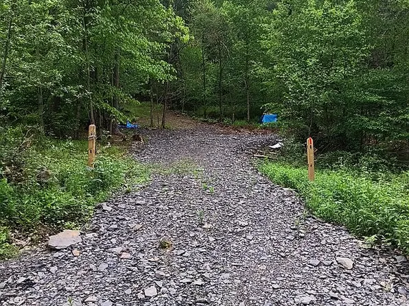 316 Bardin Rd, Mount Vision, NY 13810