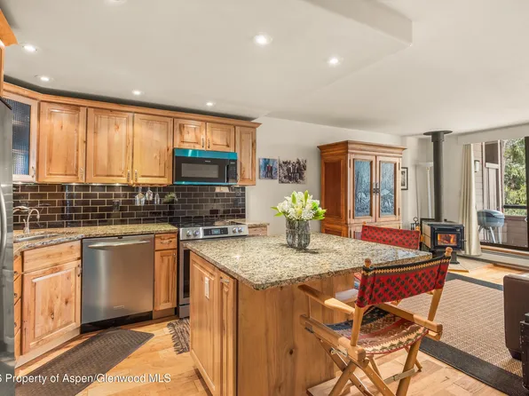 236 Vine St, Aspen, CO 81611