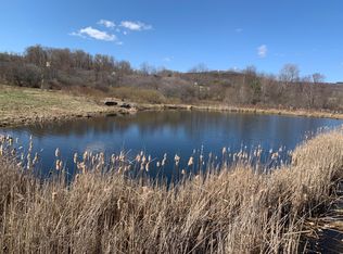 312 Taylor Rd, Stamford, NY 12167