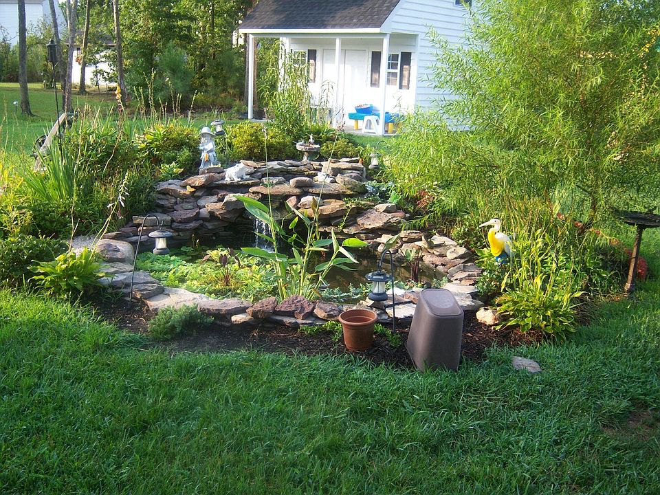 Fish Pond