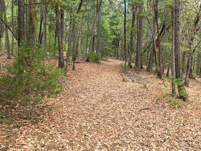 614 Thornbrook Dr, Merlin, OR, 97532