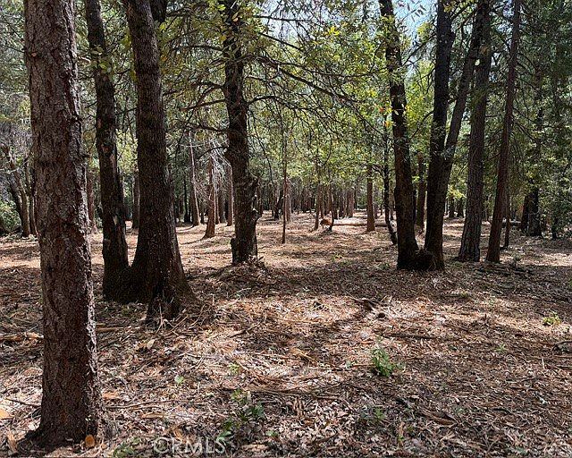 1st image of 0 Platt Mountain Rd