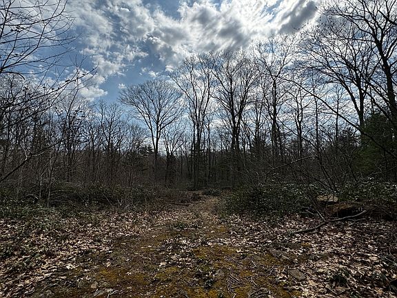 2nd image of 355 Leadmine Rd