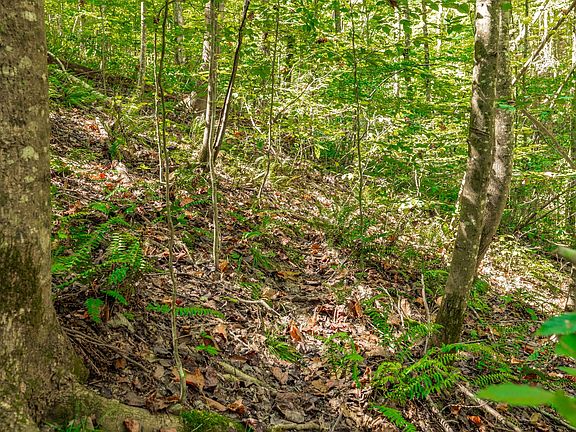 5th image of 0 Spring Hollow Rd