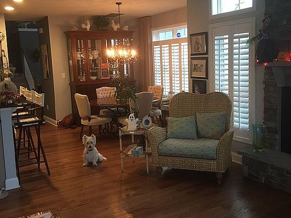 Dog not included!