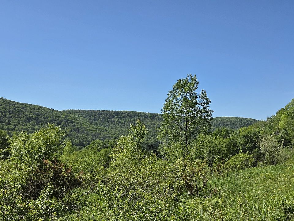 1st image of Ny State Route 446