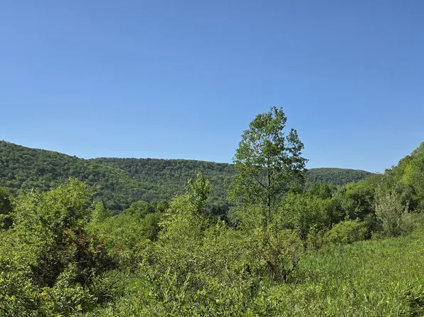 Ny State Route 446, Cuba, NY 14727