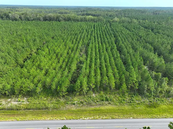 TRACT 1 State Highway 252, White Oak, GA 31568