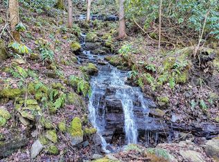 38 Shoals Trl, Hiawassee, GA 30546