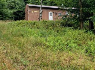 240 Roaring Branch Rd, Stony Creek, NY 12878