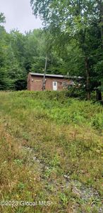 240 Roaring Branch Road, Stony Creek, NY, 12878