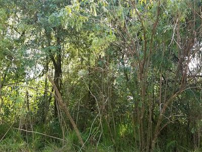 Williams Rd LOT 625-1, Seffner, FL, 33584