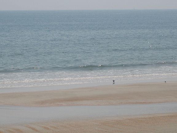 Short walk to the beach