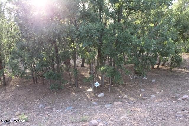 2nd image of 102 S Cedar Pine Ln