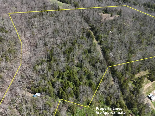 215 Big Twin Creek Rd, Worthville, KY 41098