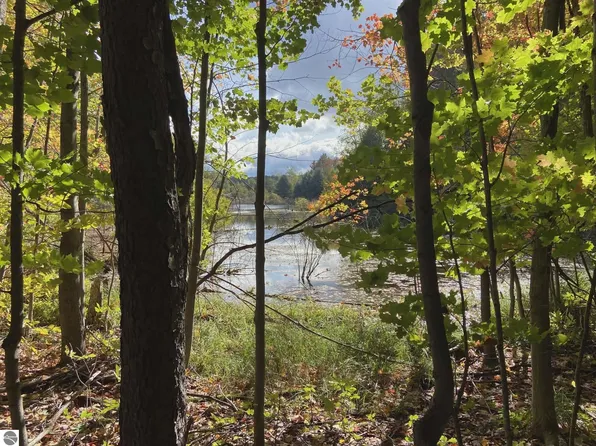 20047 Davis Lake Rd, Traverse City, MI 49684