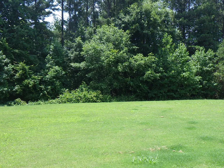 381 Woodson Dr — Photo 3