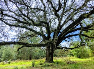 1699 Howell William Rd, Bonifay, FL 32425