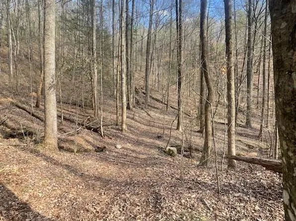 0 Lost Silver Mine Rd, Cisco, GA 30708
