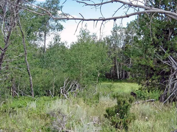 Wilderness Ranch Rd, Sand Creek Township, CO 82070