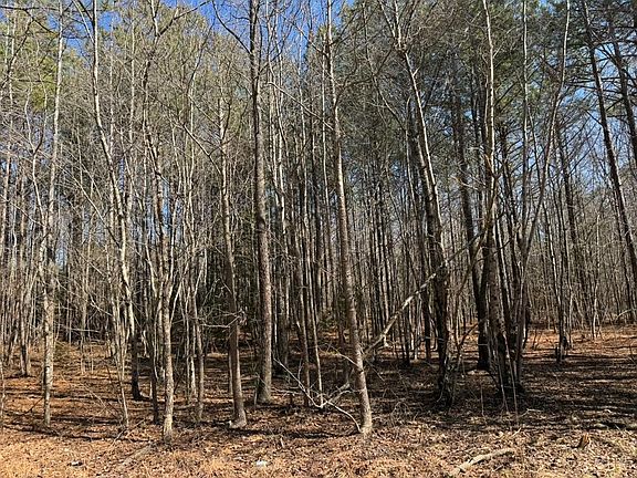 5th image of 0 Sturgeon Rd Lot 6