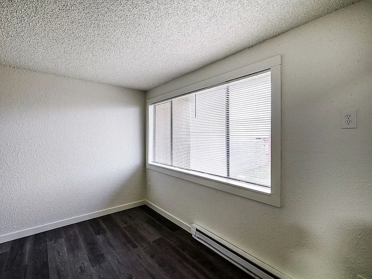 Chestnut Apartments — Photo 11