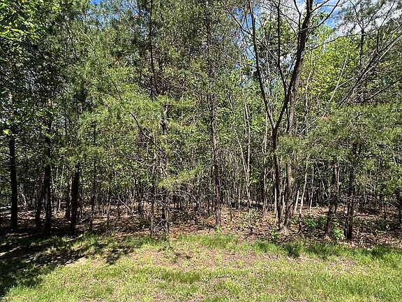 2nd image of 0 Lakeland Dr