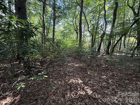 4th image of Rich Pine Dr #119