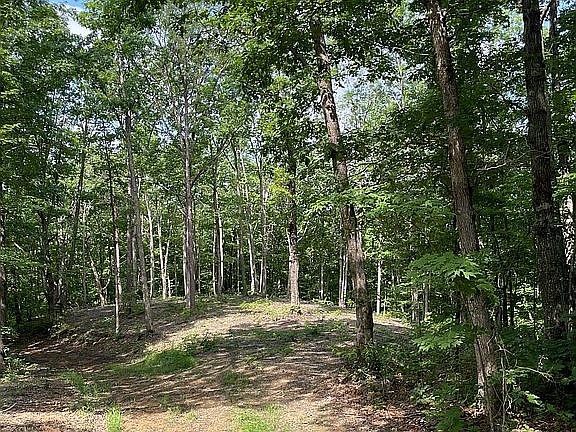 2nd image of Bear Knob Ln