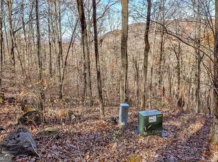 LOT 9 The Hemlocks LOT 9, Ellijay, GA 30536