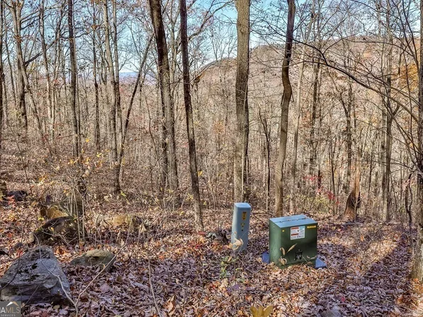 LOT 9 The Hemlocks Lot 9, Ellijay, GA 30536
