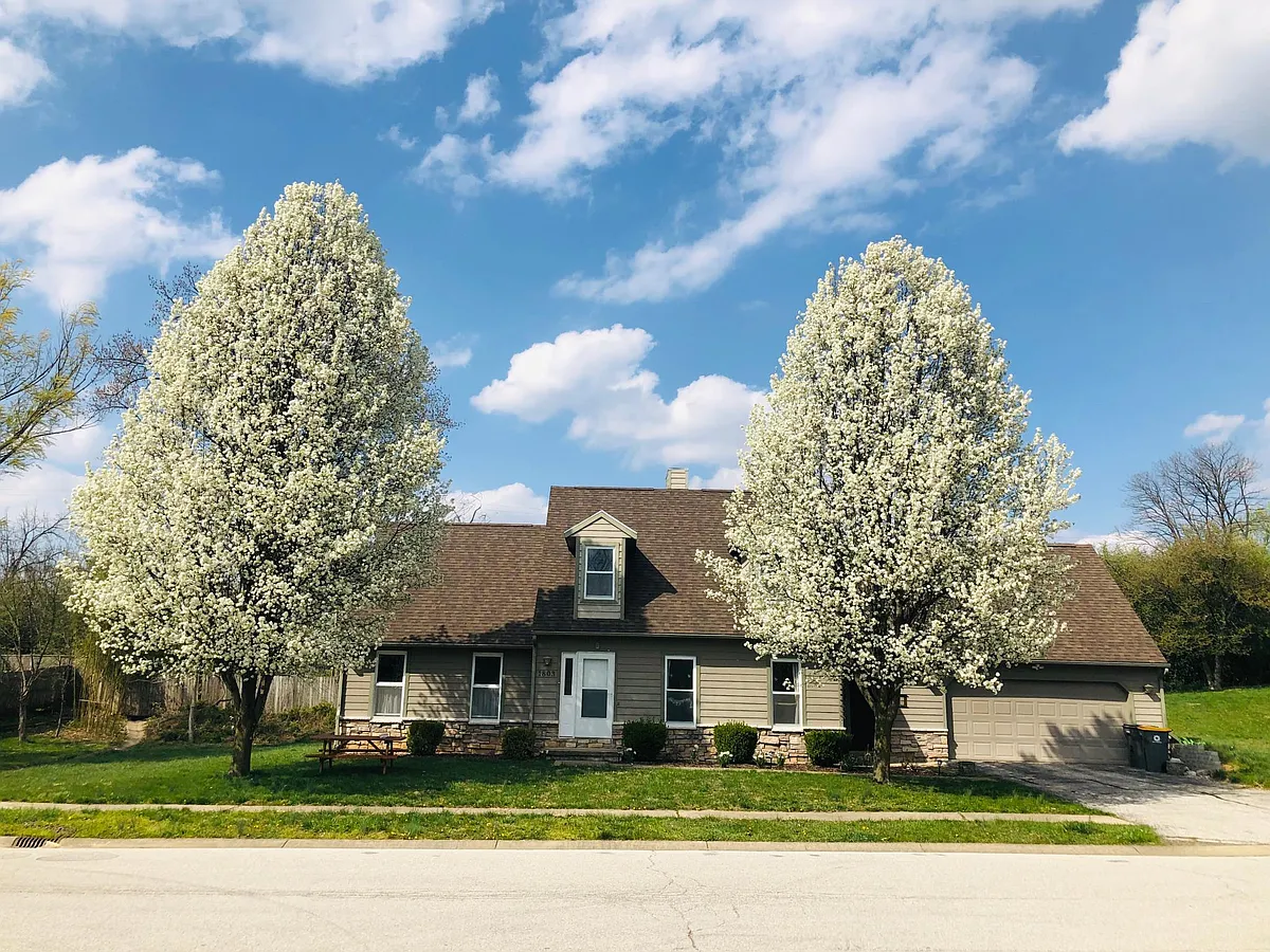 Front view of the house. - 1803 E Thornton Dr