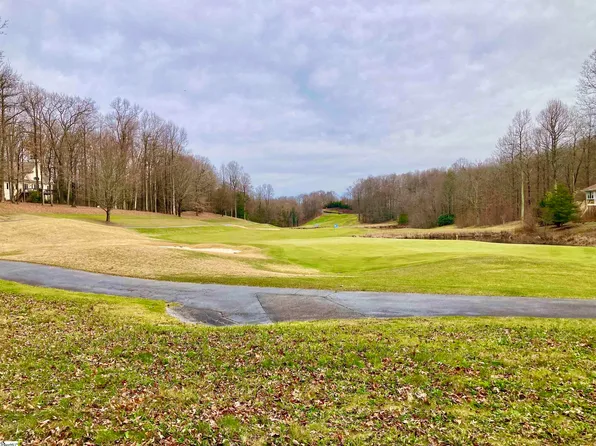 10 Snap Dragon Way, Landrum, SC 29356