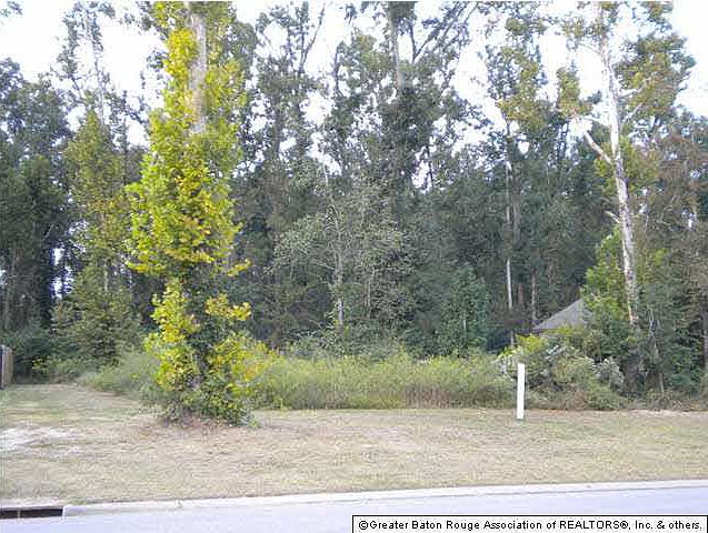 2nd image of NULLA Cypress Alley Ave