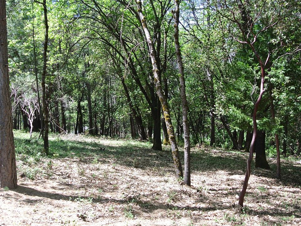 1st image of 6084 Green Leaf Ln