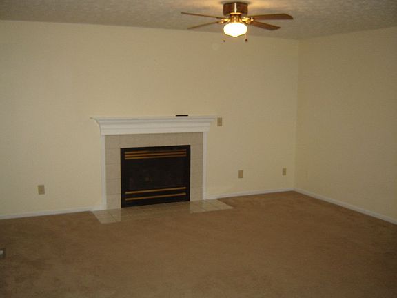 Remote Control Fireplace