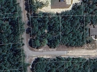 3997 W Drysdale Ln LOT 20, Dunnellon, FL 34433