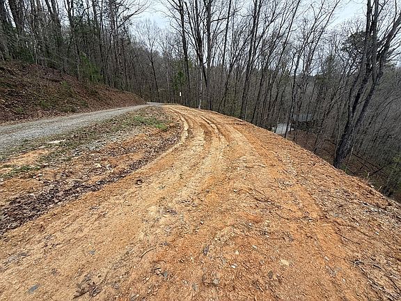 5th image of 135 Flat Ridge Rd