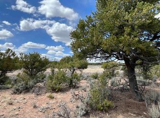 Annenberg Rd N, Fort Garland, CO 81133